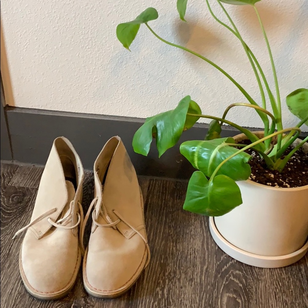 Clark Suede Desert Boot in Stone!
